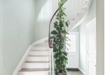 Céline Vigné - décoratrice d'intérieur